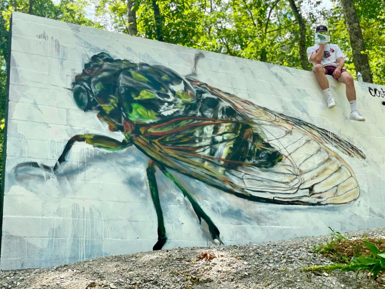 Cicada Mural by Cosby Painter Hayes, who has a new show of small-scale Florida themed works at Tallahassee's Artport Gallery on display through May 15, 2024.