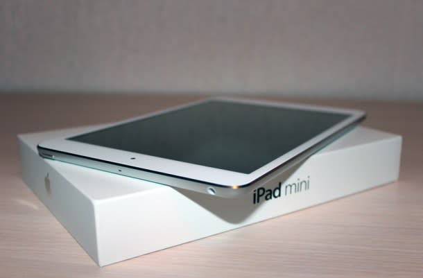 iPad Mini 2 No Retina Display