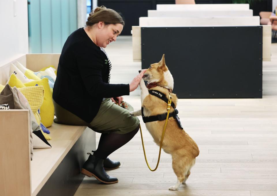 Kathleen Sykes greets her service dog, Jefferson, at her office at Kiln in Salt Lake City on Friday, Jan. 5, 2024. Because of a back injury to Sykes, Jefferson has been trained to retrieve items for her, among other tasks. | Jeffrey D. Allred, Deseret News