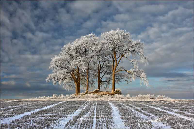 Robert Fulton, Winter Field, Stirlingshire, North Lanarkshire. Landscape Photographer of the Year 2011 winner.