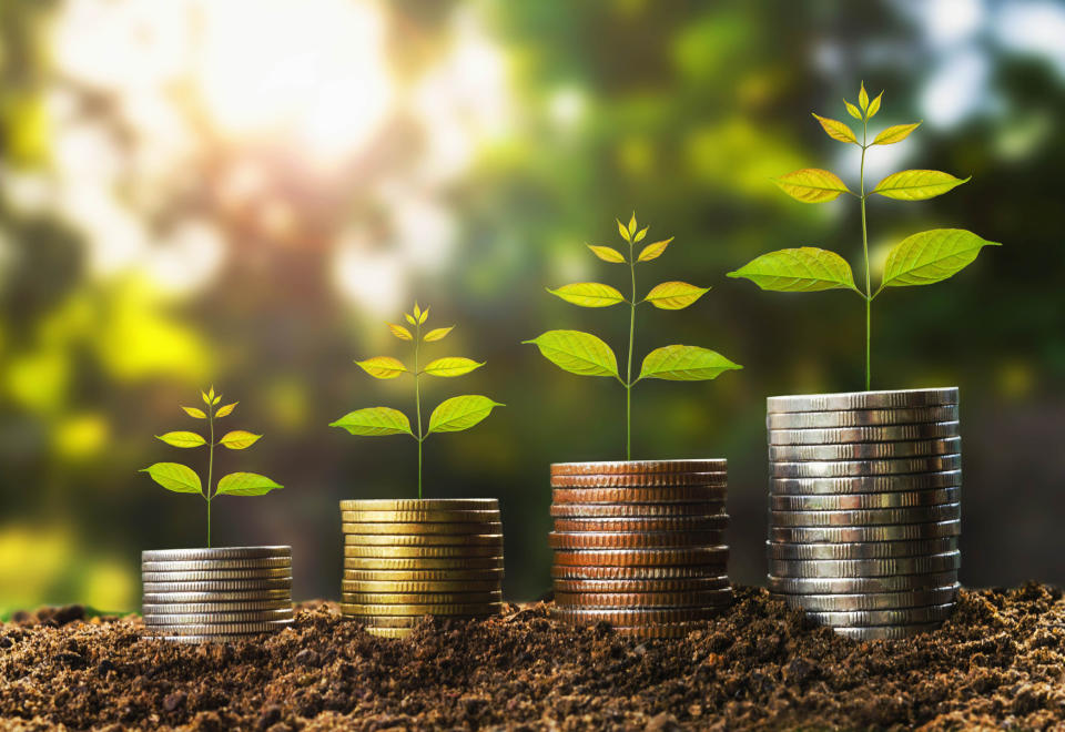 Plant shoots on stacks of coins representing income growth.