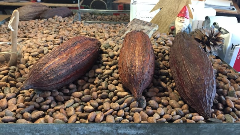 Quebec chocolate maker joins growing bean-to-bar movement