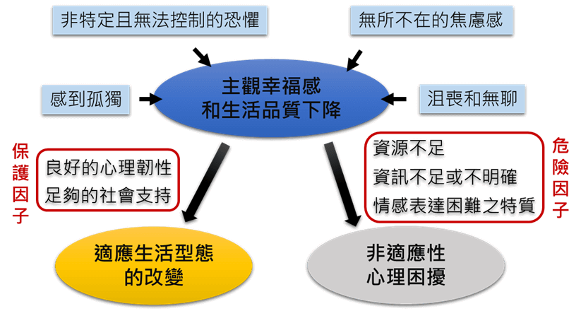 ※圖片提供：蔦木。