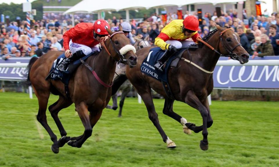 Alpha Delphini and Graham Lee (in yellow) just beat Mabs Cross