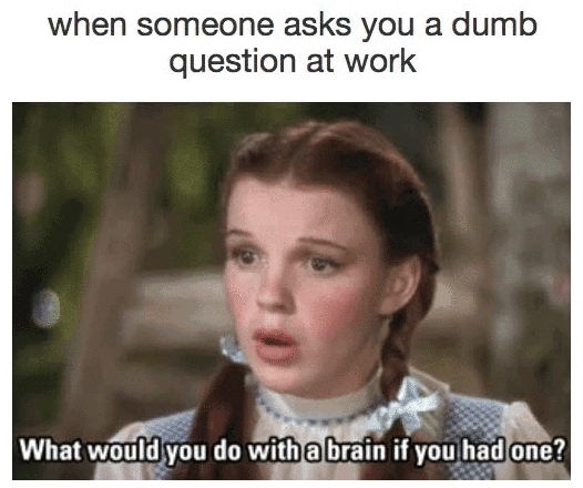 Dorothy saying, "What would you do with a brain if you had one?"