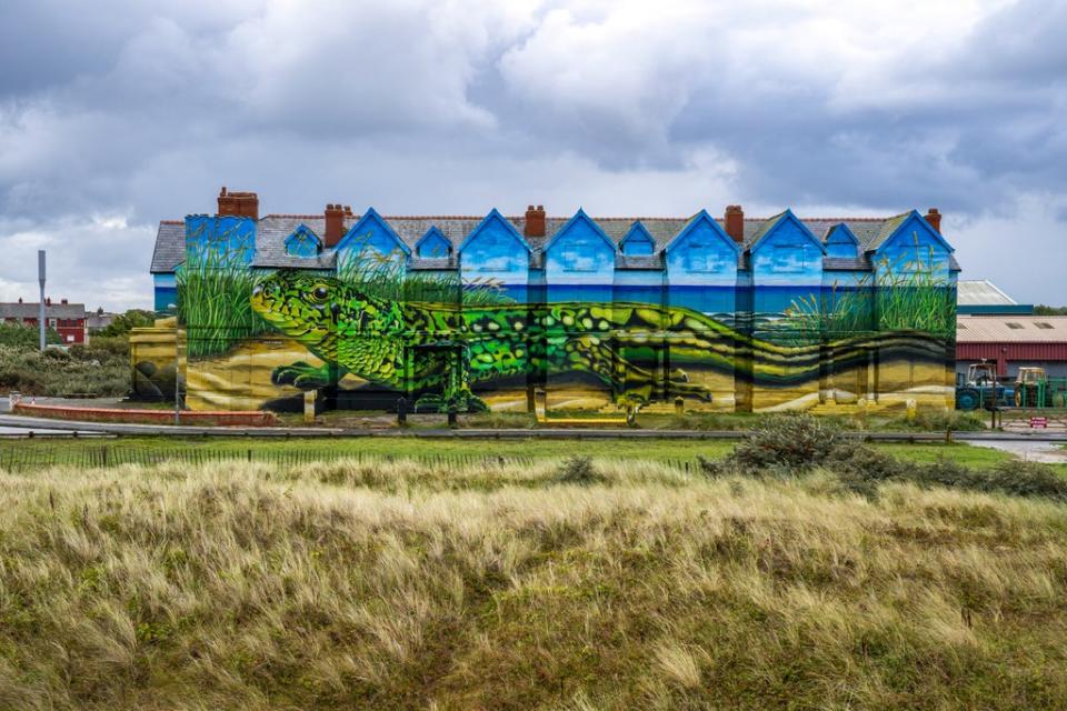 Work is completed on artist Paul Curtis’ sand lizards mural which covers the exterior of Toad Hall in Ainsdale, Merseyside (Peter Byrne/PA) (PA Wire)