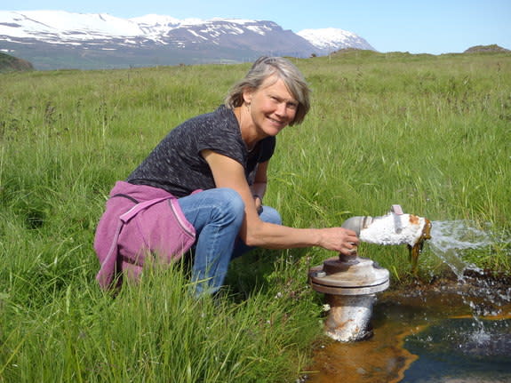 The artesian well tested during the study.