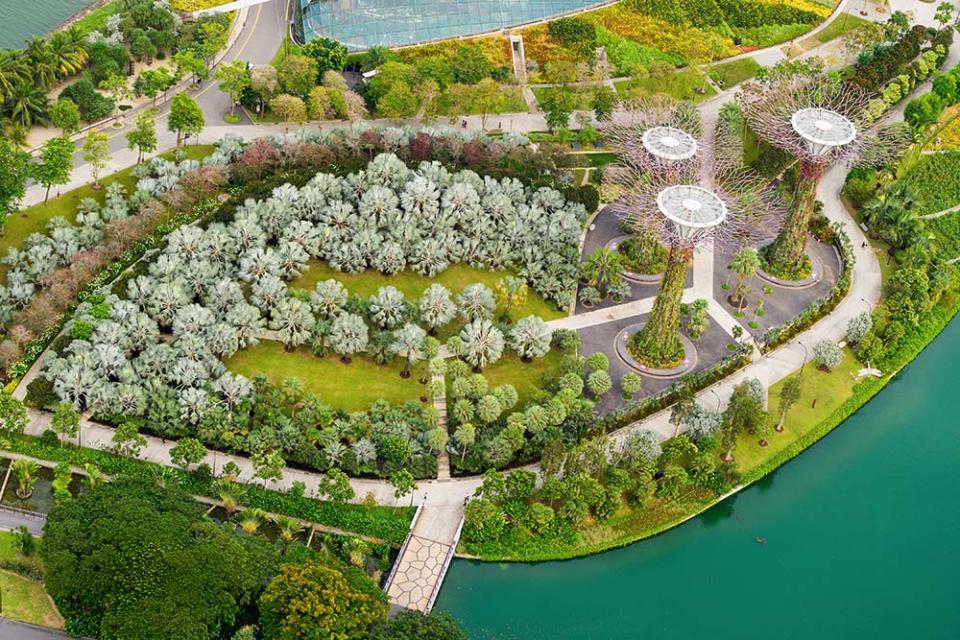 濱海灣花園（Image Source : Getty Creative）