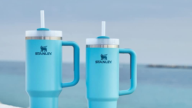 Get Yours Now: Target's Latest Stanley Tumblers in Valentine's Day Hues  Starting at $15!