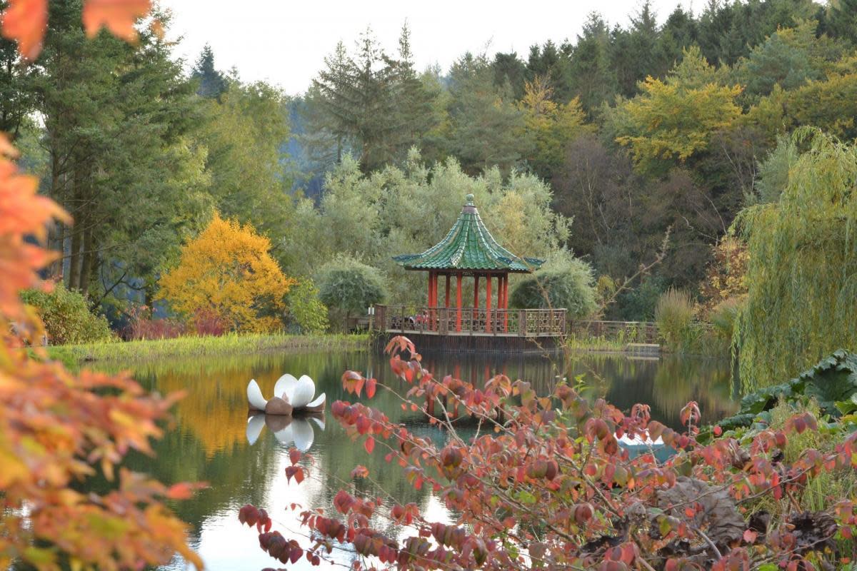 The Himlayan Gardens near Ripon <i>(Image: Pic supplied)</i>