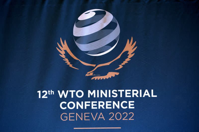 FILE PHOTO: FILE PHOTO: WTO Ministerial Conference (MC12) in Geneva