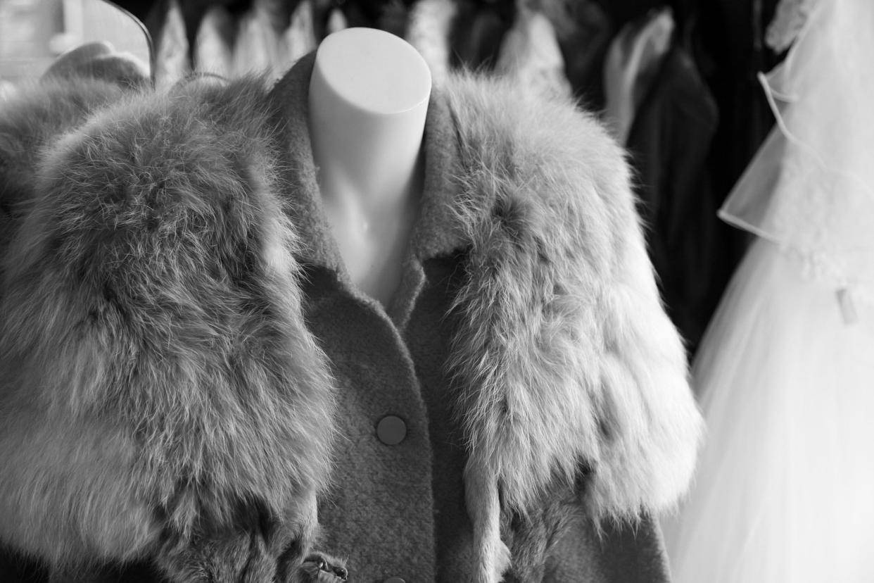 fur on mannequin