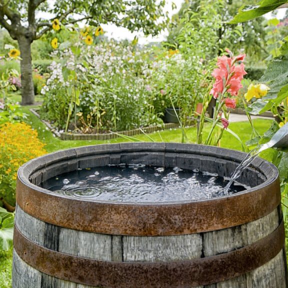  A rain barrel in a garden. 