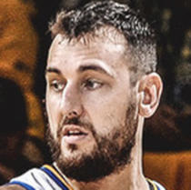 Andrew Bogut