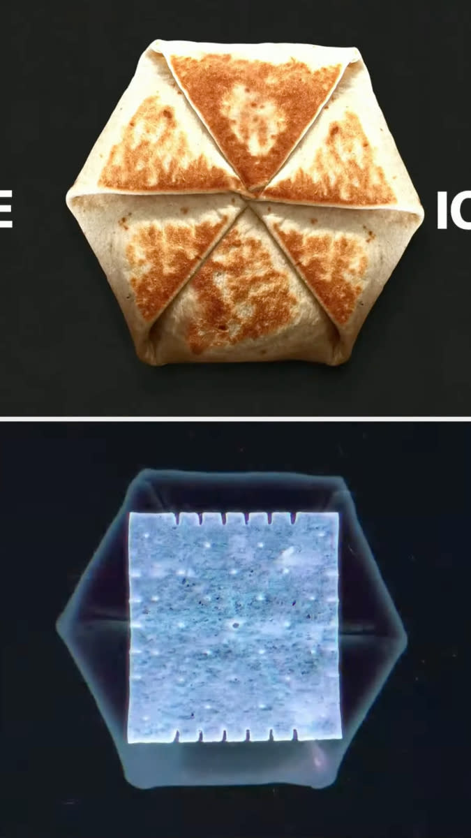 a fake x-ray showing a large cheez-it inside of a crunchwrap