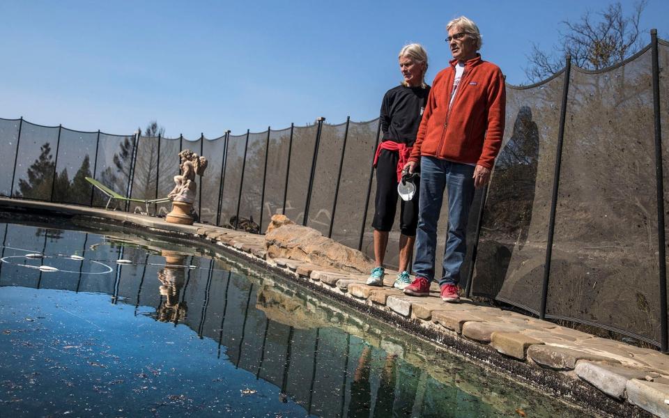 John and Jan Pascoe returning to the pool they sheltered in as the wildfire raged - Los Angeles Times