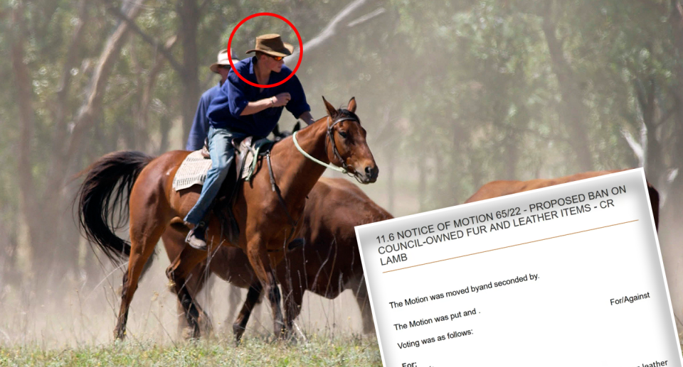 A man on a horse with an Akubra. A copy of the council's report.