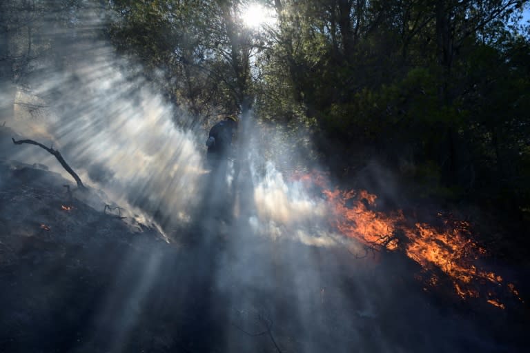 A firefighter works to extinguish a wildfire in Keratea, near Athens, on the weekend (Aris MESSINIS)