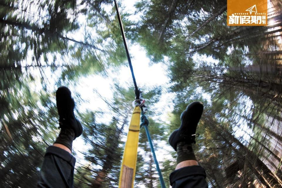 Ziptrek Ecotour