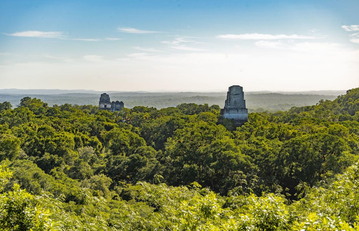 Pictures taken at sunrise and in the early morning in Tikal by Rodrigo Escalante.