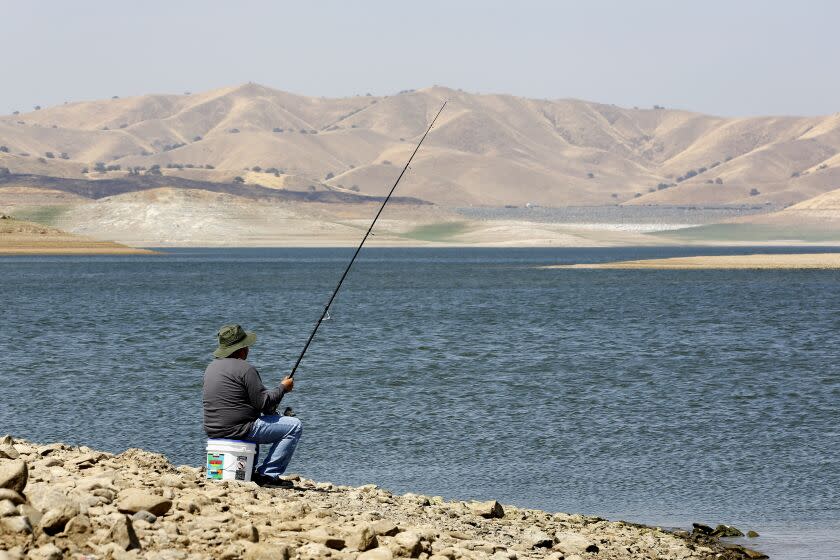 In this photo taken Saturday, Aug. 8, 2015, a person fishes at the San Luis Reservoir in Merced County, Calif. The Department of Water Resources warned people, Friday, June 30, 2017, not to swim in the reservoir and to avoid eating fish from its water due to the presence of blue-green algae. (AP Photo/Rich Pedroncelli)