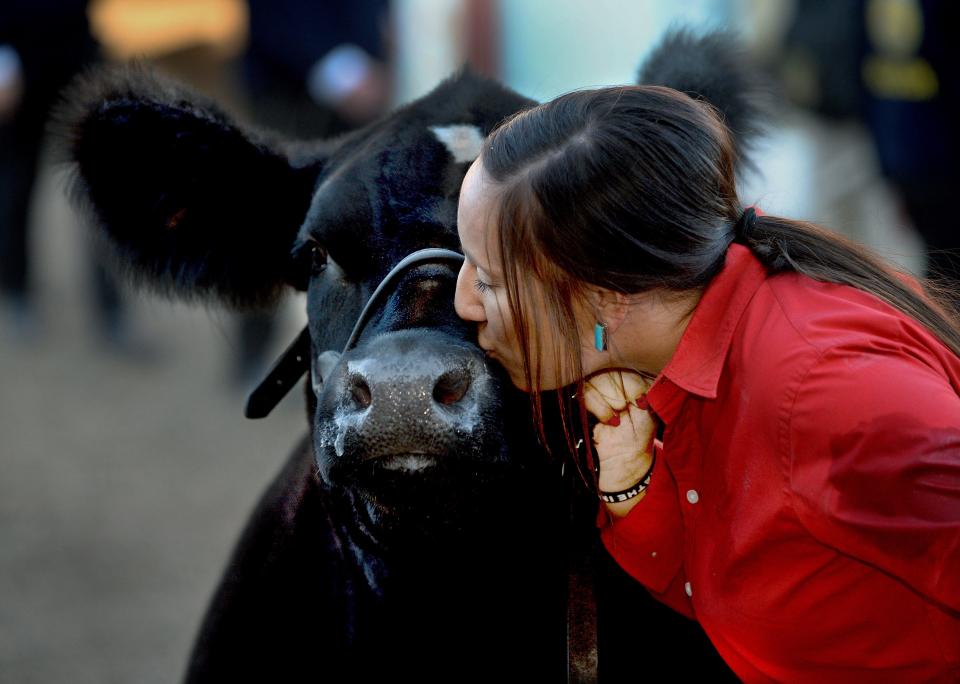 Ashtin Guyer of Robinson spends a moment with her Grand Champion Steer, King, after the Governor's Sale of Champions was over at the Illinois State Fair on Aug. 16, 2022. The steer wa  purchased by Illinois first lady MK Pritzker.