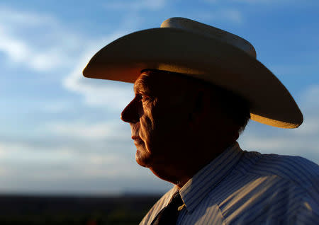 FILE PHOTO: Rancher Cliven Bundy looks out over his 160 acre ranch in Bunkerville, Nevada May 3, 2014. REUTERS/Mike Blake/File Photo