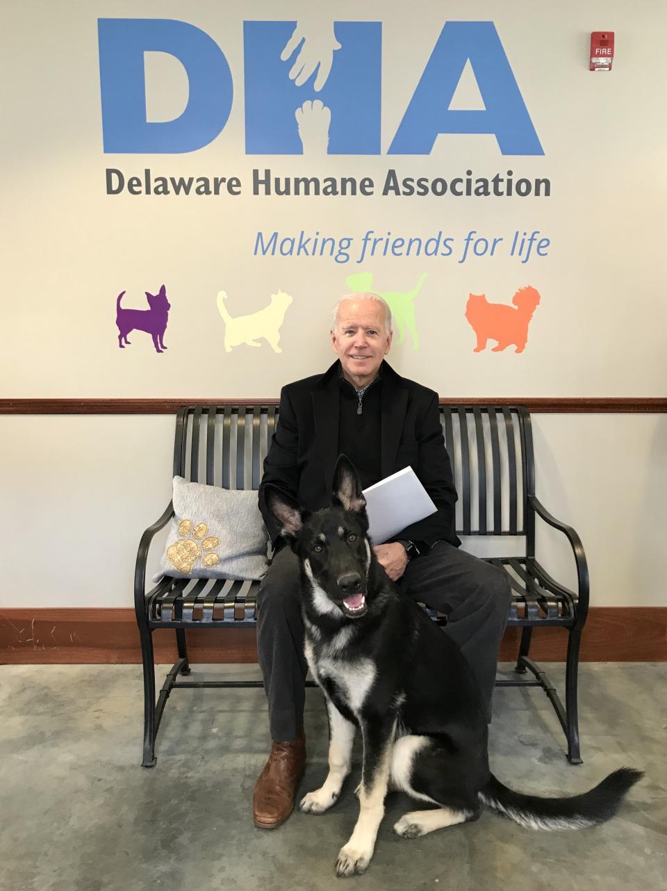 Joe Biden and Major at the Delaware Humane Assocation in 2018. (Photo: Steph Gomez via Delaware Humane Association)