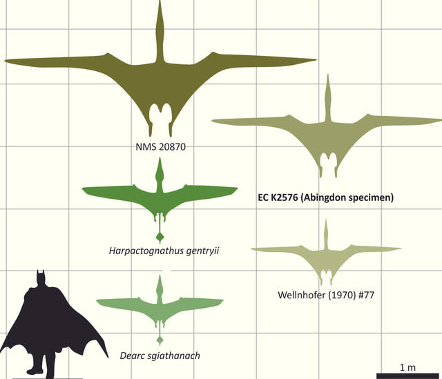 Pterosaur Terror! Giant Jurassic Flying Lizard Fossil Found In Oxfordshire