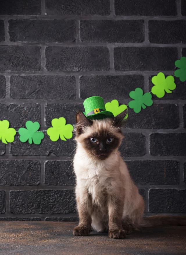 These St. Patrick's Day Instagram Captions Will Make You Feel So Lucky
