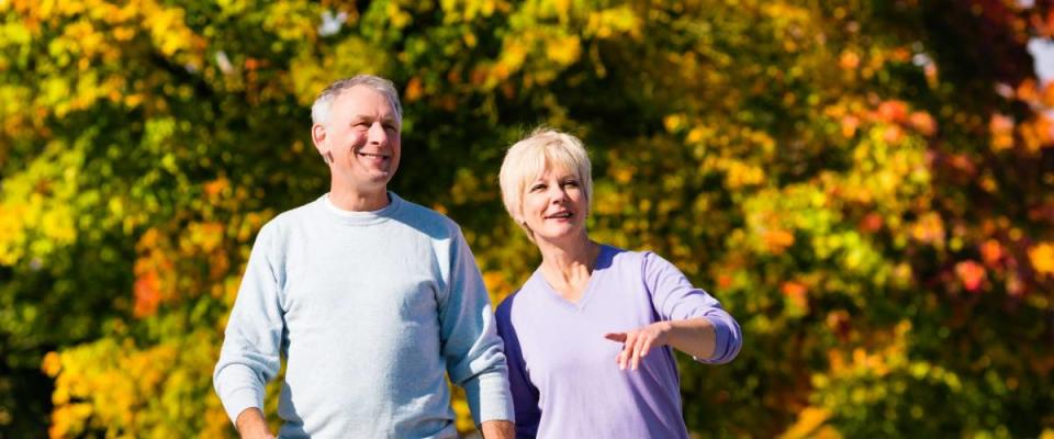 Man and woman, senior couple, having a walk in autumn or fall outdoors, the trees show colorful foliage