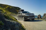 <p>2022 Ford Expedition Platinum</p>