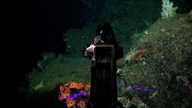 The ROV SuBastian is equipped with two mapping sensors, including a Micro Insight Laser Scanner.