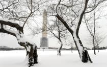 Cherry trees are blanketed with snow near the Washington Monument in Washington, Monday, March 17, 2014. (AP Photo/Susan Walsh)