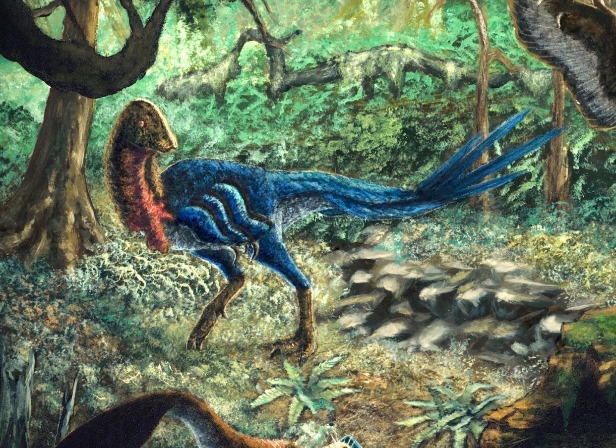 Birdlike dinosaur *Eoneophron infernalis* was about the size of an adult human. Zubin Erik Dutta