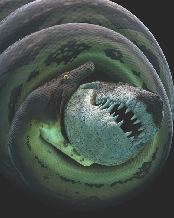 An animation from a Smithsonian Channel documentary shows a dyrosaur being constricted by the "monster snake" Titanoboa.
