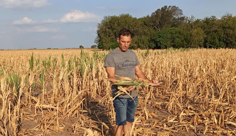 Germán Millet, productor agropecuario de Colón, en Buenos Aires, y en Wheelwright, Santa Fe en un lote de maíz que sufrió la sequía