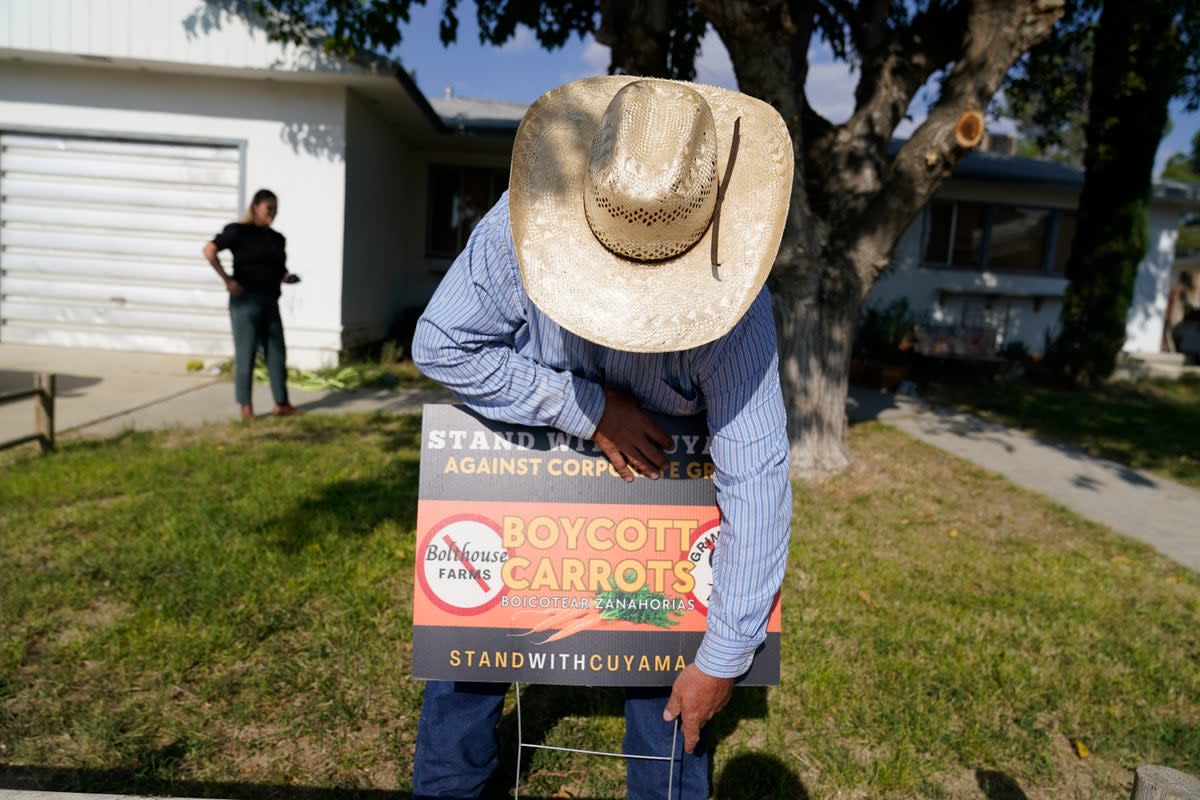 Jake Furstenfeld, a cattle rancher and a leader of the boycott putting up the anti-carrot signs (Copyright 2023 The Associated Press. All rights reserved)