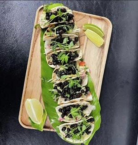 Tacos made with roasted leaf-cutter ants gave The Colony's executive chef Tom Whitaker pause before he tried, and enjoyed, them.