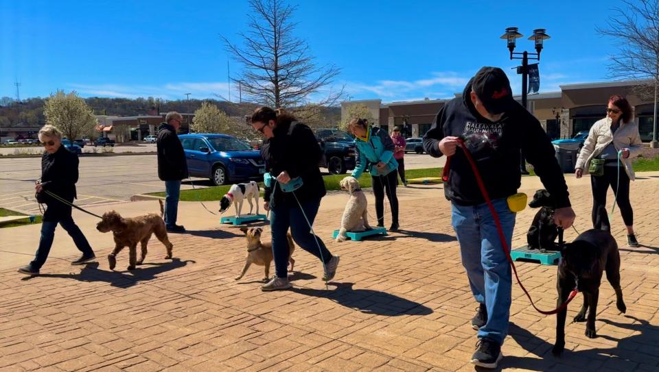 Clients of The Distracted Dog put their pups through their paces during a group training session. The Peoria-based dog training business attracts clientele from the Quad Cities, Bloomington and Springfield; as well as from throughout the greater Peoria area.