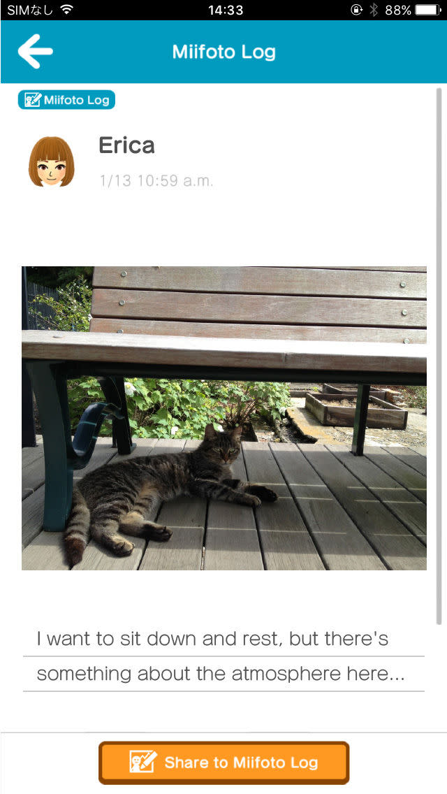 cat profile picture – Apps on Google Play