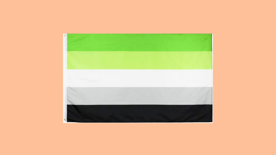 Aromantic flag