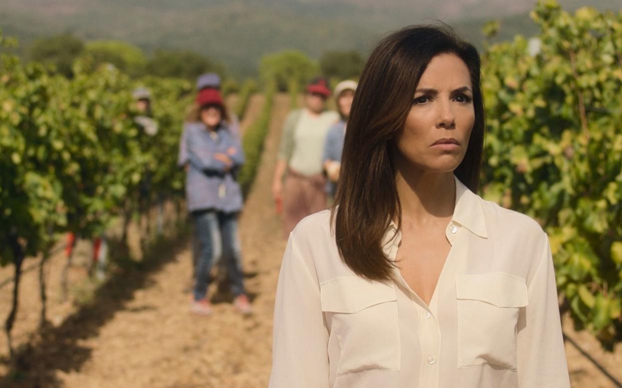 Mit Wein kennt sich Gala (Eva Longoria) bestens aus. Allerdings hat sei ihn bisher nur verkauft und nicht angebaut. (Bild: Apple TV+)