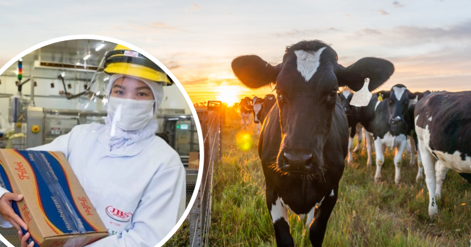 A JBS worker works a box ready for delivery. A cow stands in a field at sunrise.