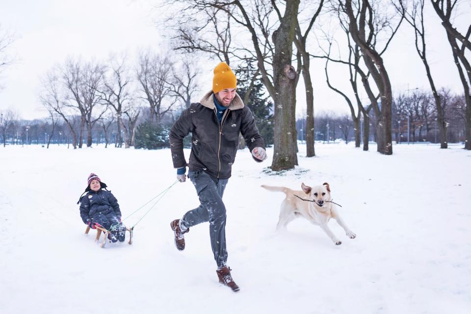 dog running alongside father and son sledding