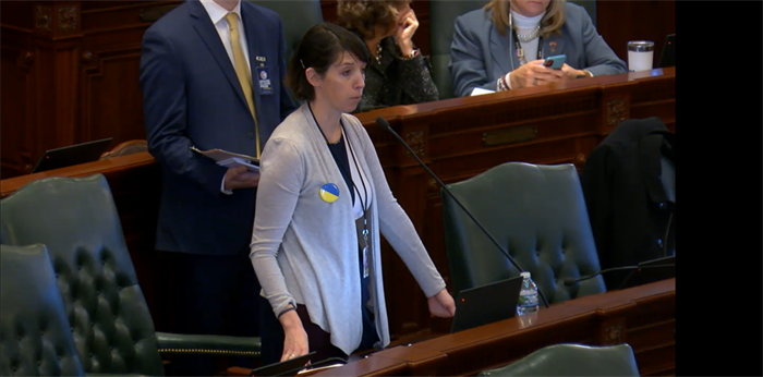 State Rep. Lindsey LaPointe, D-Chicago, urges the Illinois House to pass a bill calling for divestment from Russian and Belarusian assets for their involvement in the war in Ukraine.