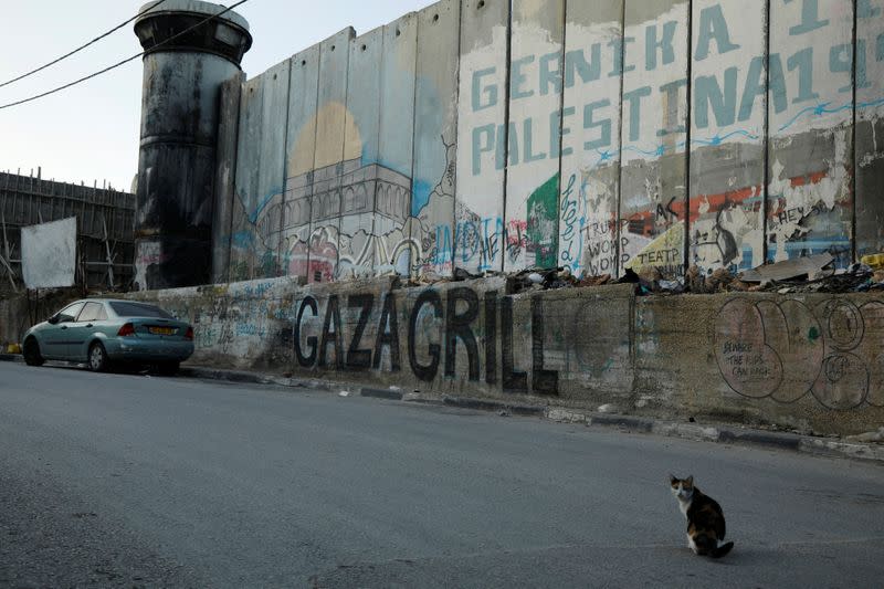 Cat is seen next to a section of the Israeli wall in Bethlehem in the Israeli-occupied West Bank