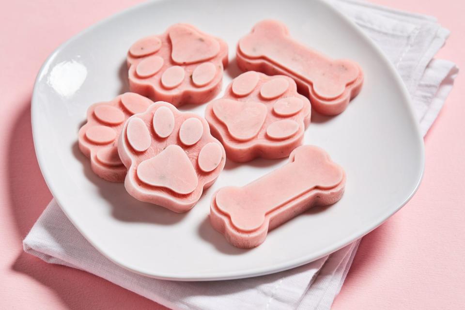 watermelon mint dog popsicles on white plate