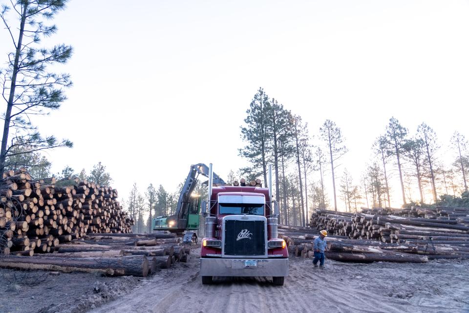 Crews log an area near Forest Lakes within the Apache-Sitgreaves National Forests on May 13, 2022.