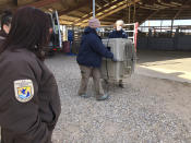 This Jan. 15, 2021 image provided by the ABQ BioPark shows officials with the U.S. Fish and Wildlife Service, the U.S. Department of Agriculture in Texas and Mexican wildlife managers preparing to transport a pack of endangered Mexican gray wolves from the zoo in Albuquerque, N.M. The animals were taken to Mexico, where they will eventually be released into the wild. (ABQ BioPark via AP)